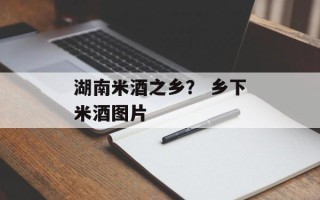 湖南米酒之乡？ 乡下米酒图片