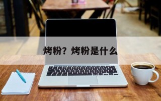 烤粉？烤粉是什么