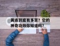 黄连到底有多苦？它的神奇功效你知道吗？