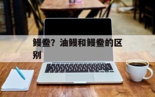 鳗鲞？油鳗和鳗鲞的区别