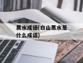 黑水成语(白山黑水是什么成语)