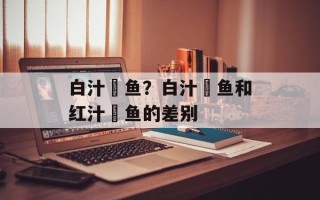 白汁鮰鱼？白汁鮰鱼和红汁鮰鱼的差别