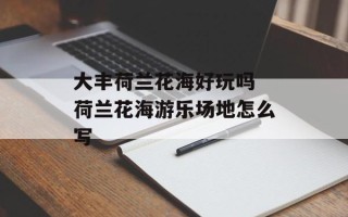 大丰荷兰花海好玩吗 荷兰花海游乐场地怎么写
