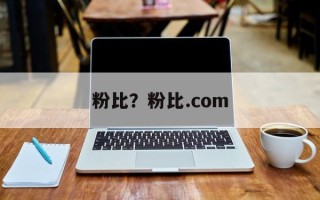 粉比？粉比.com