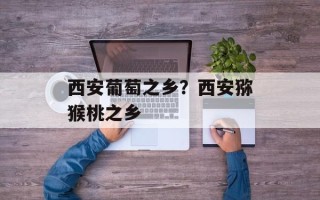 西安葡萄之乡？西安猕猴桃之乡