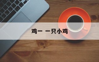 鸡一 一只小鸡