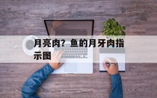 月亮肉？鱼的月牙肉指示图