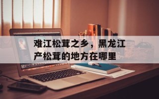 难江松茸之乡，黑龙江产松茸的地方在哪里