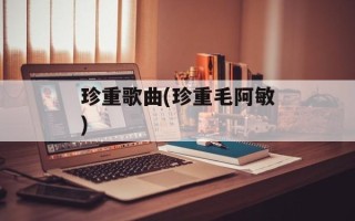 珍重歌曲(珍重毛阿敏)