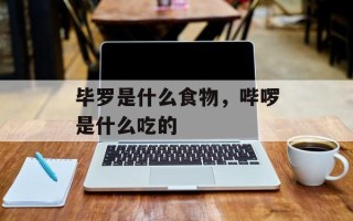 毕罗是什么食物，哔啰是什么吃的