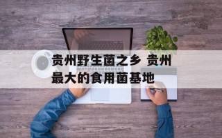 贵州野生菌之乡 贵州最大的食用菌基地