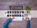 龙鱼价格多少钱一只？新手如何快速入门？