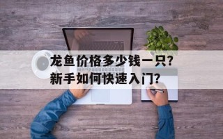 龙鱼价格多少钱一只？新手如何快速入门？