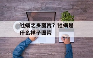 牡蛎之乡图片？牡蛎是什么样子图片