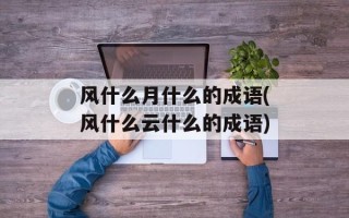 风什么月什么的成语(风什么云什么的成语)