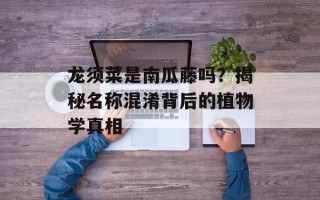 龙须菜是南瓜藤吗？揭秘名称混淆背后的植物学真相
