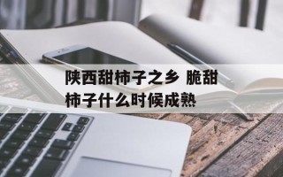 陕西甜柿子之乡 脆甜柿子什么时候成熟