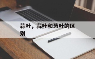 蒜叶，蒜叶和葱叶的区别