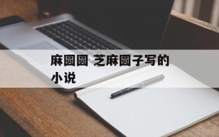 麻圆圆 芝麻圆子写的小说