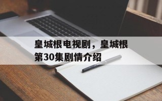 皇城根电视剧，皇城根第30集剧情介绍