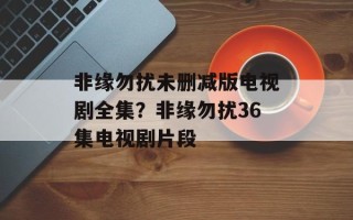 非缘勿扰未删减版电视剧全集？非缘勿扰36集电视剧片段