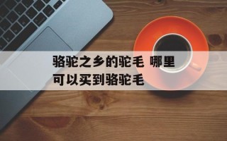 骆驼之乡的驼毛 哪里可以买到骆驼毛