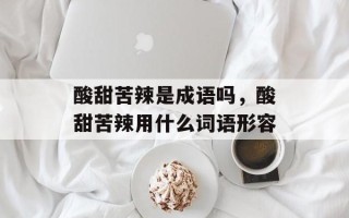 酸甜苦辣是成语吗，酸甜苦辣用什么词语形容