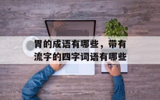 胃的成语有哪些，带有流字的四字词语有哪些