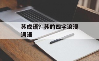 苏成语？苏的四字浪漫词语