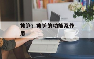 黄笋？黄笋的功能及作用