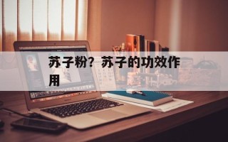 苏子粉？苏子的功效作用