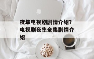 夜隼电视剧剧情介绍？电视剧夜隼全集剧情介绍