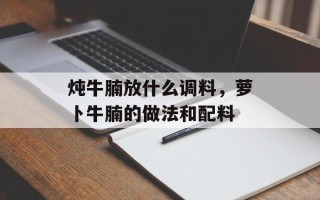 炖牛腩放什么调料，萝卜牛腩的做法和配料
