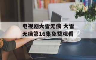 电视剧大雪无痕 大雪无痕第16集免费观看