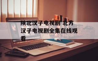 陕北汉子电视剧 北方汉子电视剧全集在线观看