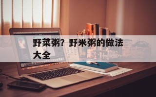 野菜粥？野米粥的做法大全