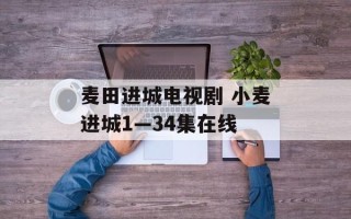 麦田进城电视剧 小麦进城1—34集在线