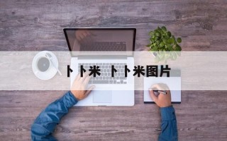 卜卜米 卜卜米图片