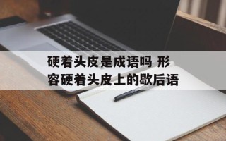 硬着头皮是成语吗 形容硬着头皮上的歇后语