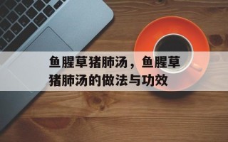 鱼腥草猪肺汤，鱼腥草猪肺汤的做法与功效