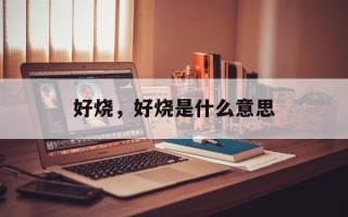 好烧，好烧是什么意思