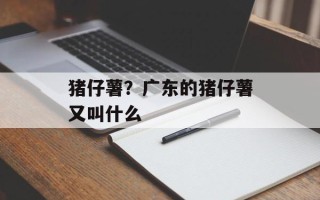 猪仔薯？广东的猪仔薯又叫什么