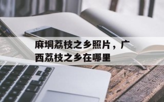 麻垌荔枝之乡照片，广西荔枝之乡在哪里