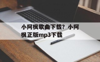 小阿枫歌曲下载？小阿枫正版mp3下载