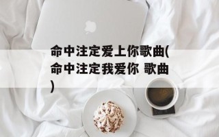 命中注定爱上你歌曲(命中注定我爱你 歌曲)