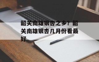 韶关南雄银杏之乡？韶关南雄银杏几月份看最好