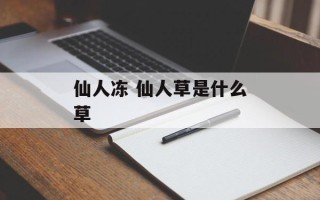 仙人冻 仙人草是什么草