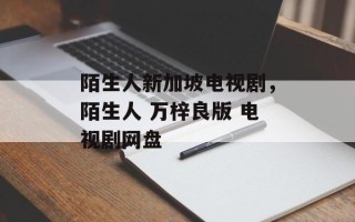 陌生人新加坡电视剧，陌生人 万梓良版 电视剧网盘