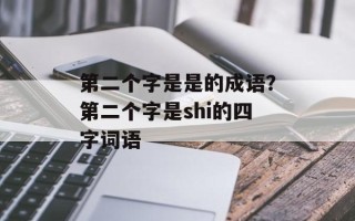第二个字是是的成语？第二个字是shi的四字词语