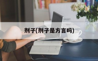 剂子(剂子是方言吗)